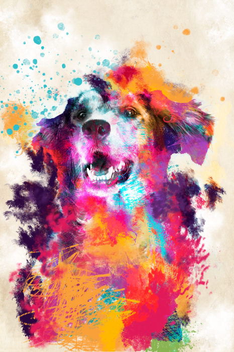 Poster Farbenfrohe Aquarellillustration eines Hundes