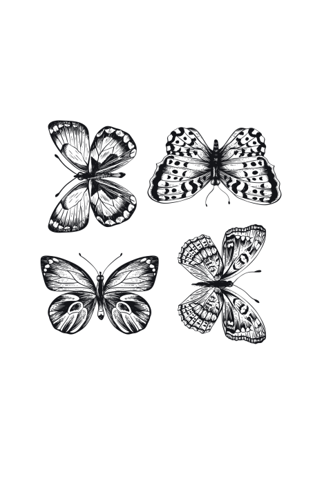 Poster Eine Zeichnung von vier Schmetterlingen in Schwarzweiß