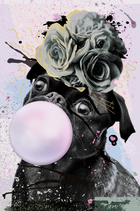 Poster Mops mit kaugummirosa und grauen Rosen