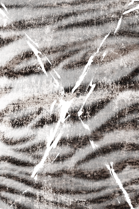 Poster Tiermotiv mit weißem Tigerfell