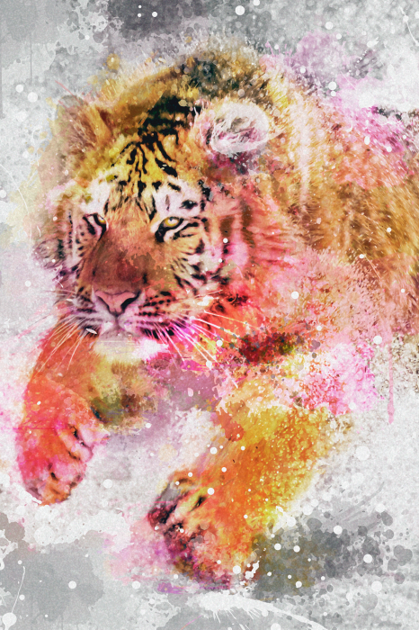 Poster Tiger in Bewegung mit Aquarellspritzern