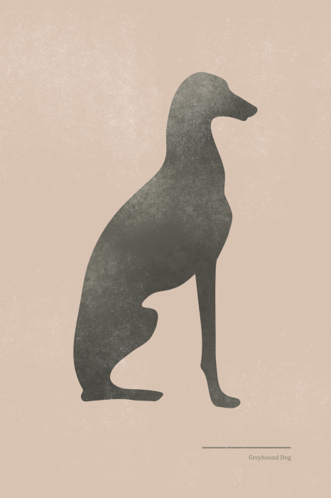 Poster Eine einfache Grafik eines Greyhounds in sitzender Position