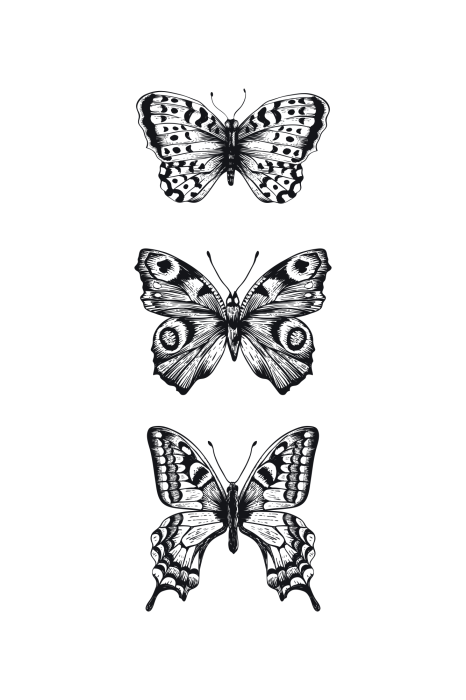 Poster Drei schwarz-weiße Schmetterlinge in vertikaler Anordnung