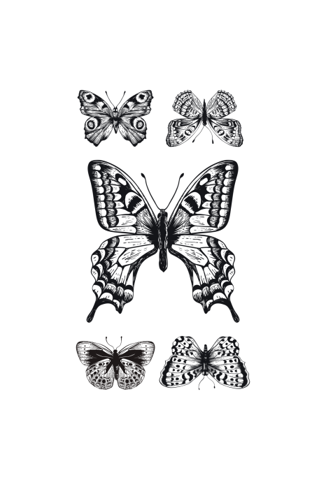 Poster Eine Komposition mit fünf Schmetterlingen in Schwarzweiß