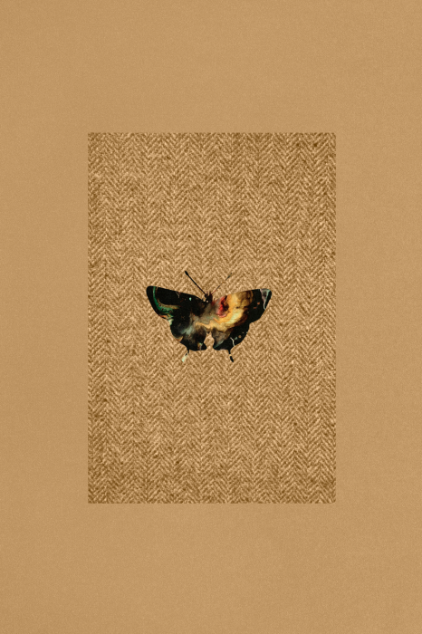 Poster Dunkler Schmetterling auf strukturiertem Hintergrund