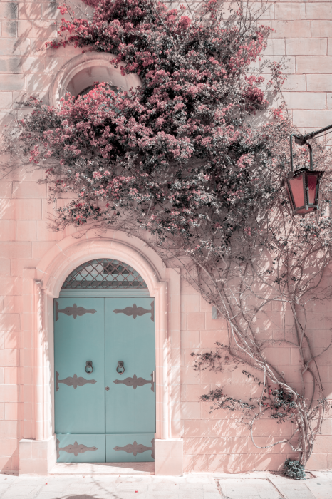 Poster Bepflanzter Eingangsbereich mit blauer Tür