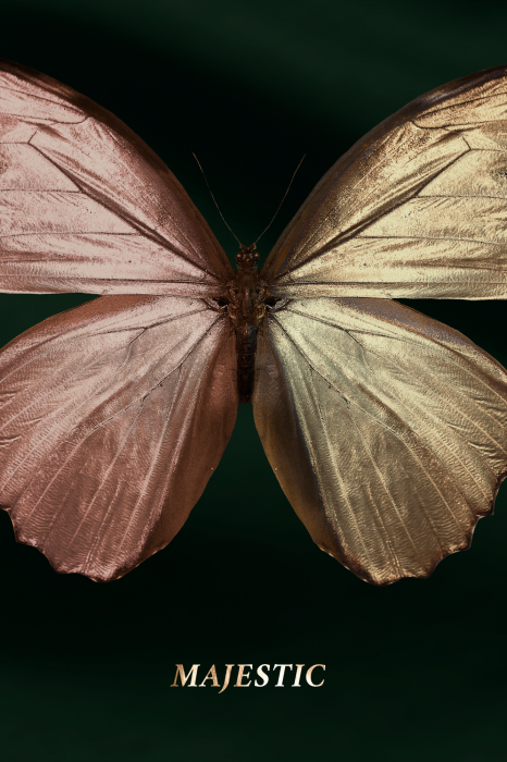 Poster Ein rosafarbener und goldener Schmetterling mit dem Wort „Majestic“ darauf.