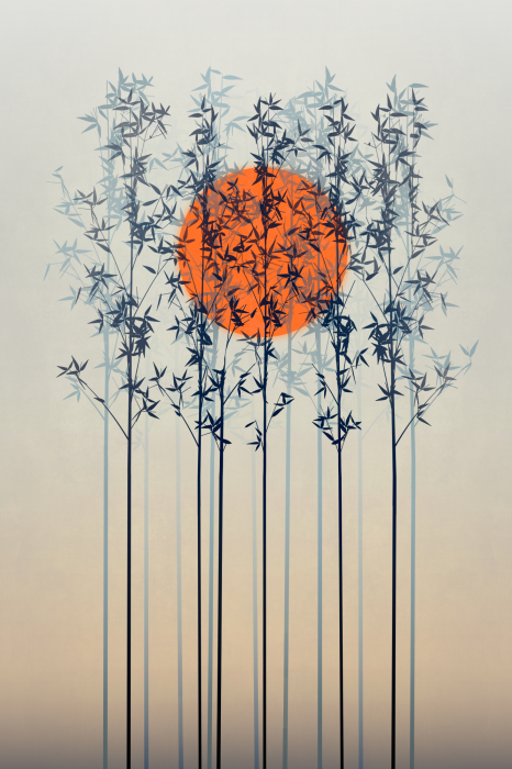 Poster Die Sonne verborgen im Geäst zarter Zweige