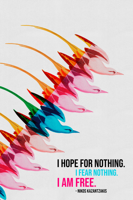 Poster Ein Zitat von Nikos Kazantzakis mit farbenfrohen Vogelsilhouetten