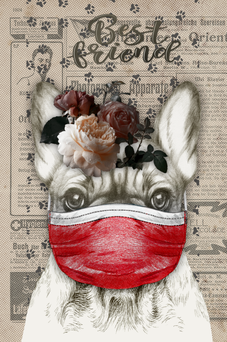 Poster Ein Hund mit Maske und Rosen auf dem Kopf