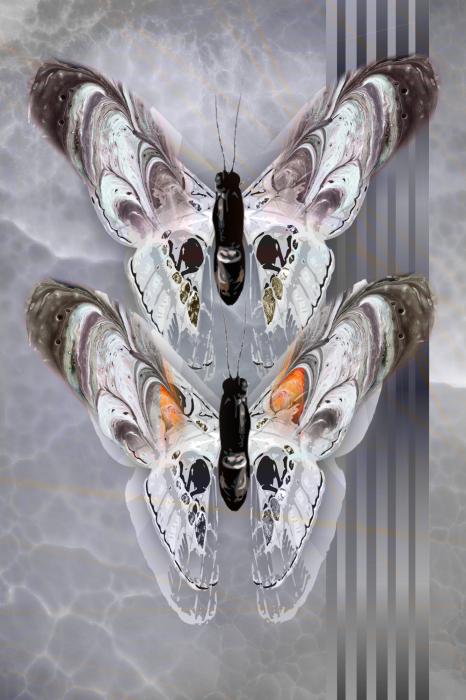 Poster Zwei Schmetterlinge in einer grauen Komposition