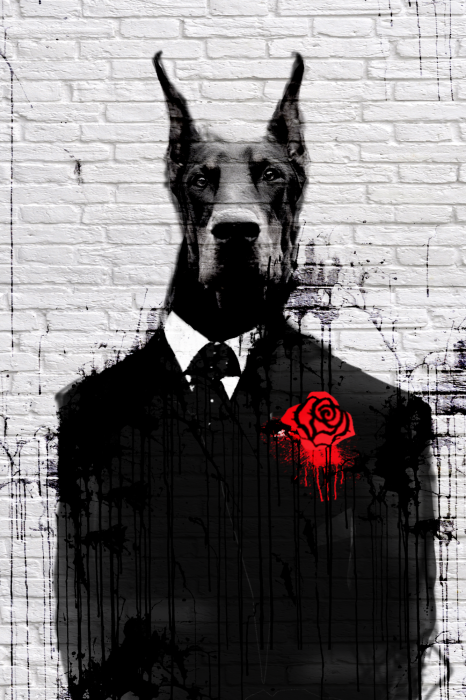 Poster Porträt eines Dobermanns im schwarzen Anzug vor einem Backsteinhintergrund