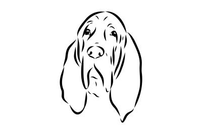Fototapete Schwarz-weiß-Zeichnung eines Hundes