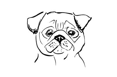 Fototapete Gezeichneter Porträt eines Mops-Hundes