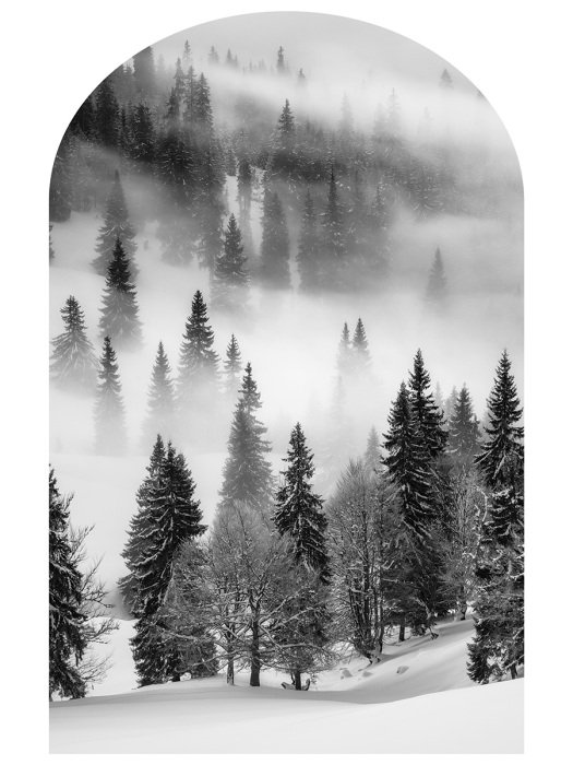 Sticker Neblige Winterlandschaft in Schwarz und Weiß