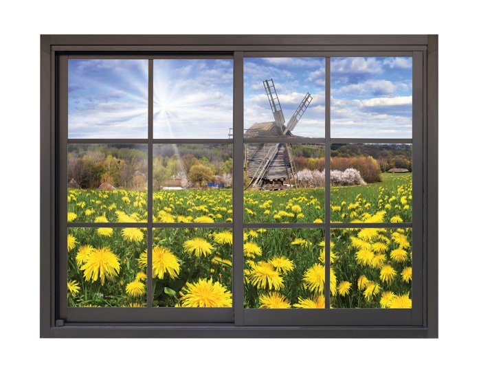 Sticker Ein Löwenzahnfeld mit einer Windmühle, Blick aus dem Fenster