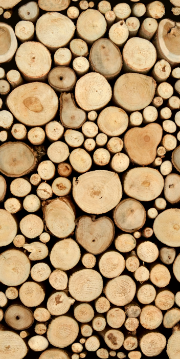 Tapete Rustikales Baumstammmuster