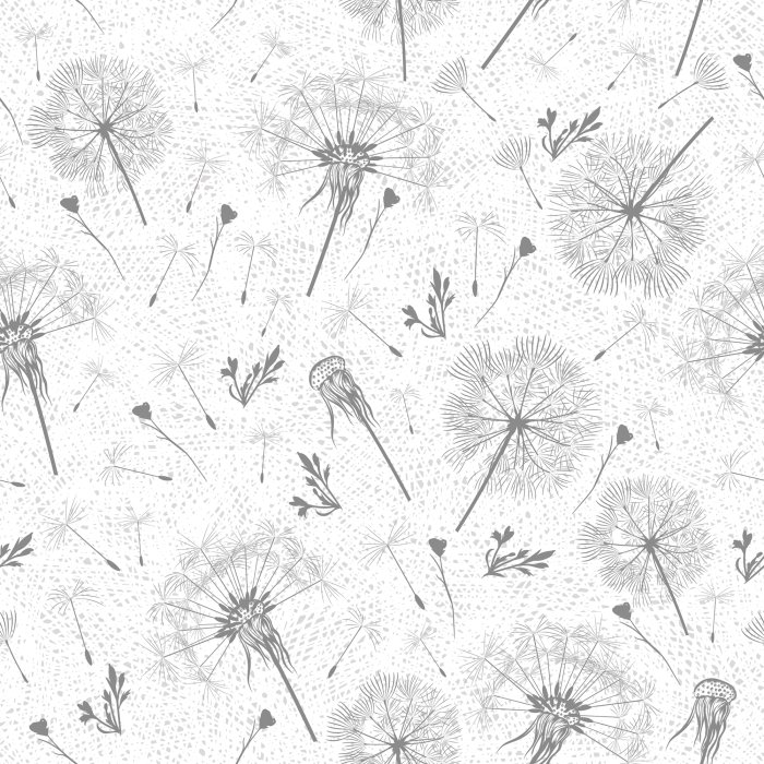Tapete Löwenzahn in Grautönen auf weißem Hintergrund