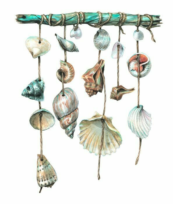 Sticker Watercolor illustration of a garland of various seashells on a stick. A lot of shells for interior decoration, the beach. For the decoration and design of postcards, posters, clothing, home decor.