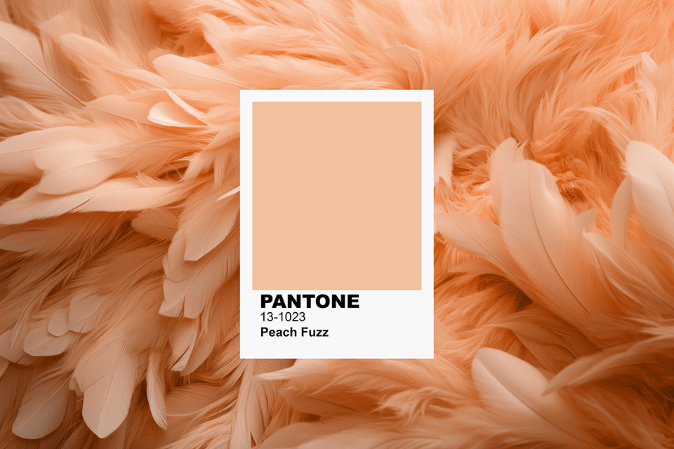 Peach Fuzz – Farbe des Jahres