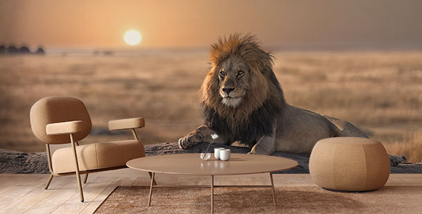 Fototapete Löwe bei Sonnenuntergang