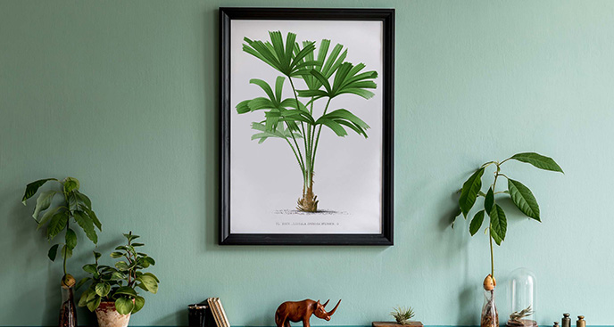Poster tropische Pflanze – Palme