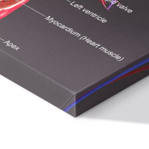 Visualisierung des Produkts