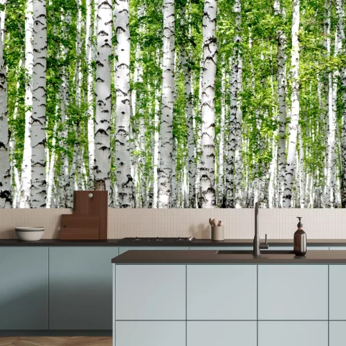 Fototapete Weiße Birken im Wald im Sommer