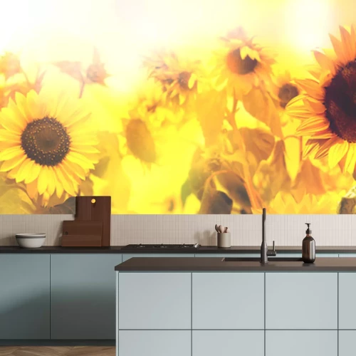 Sticker Sonnenblumen im Sonnenschein