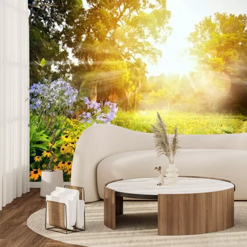 Fototapete Blumenwiese bei Sonnenuntergang