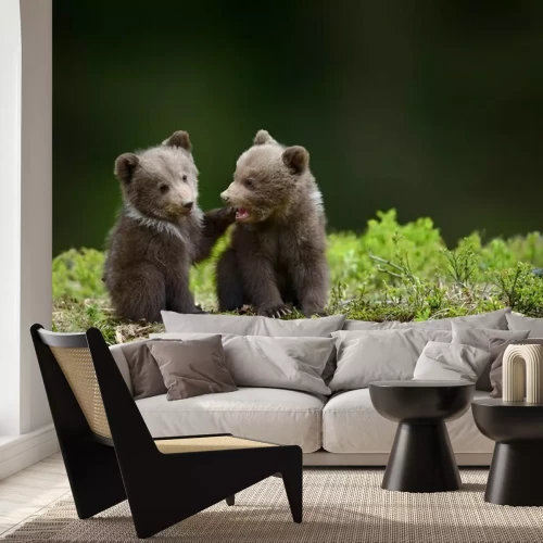 Fototapete Auf Moos sitzende Bären