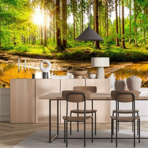 Fototapete Bach im grünen wald