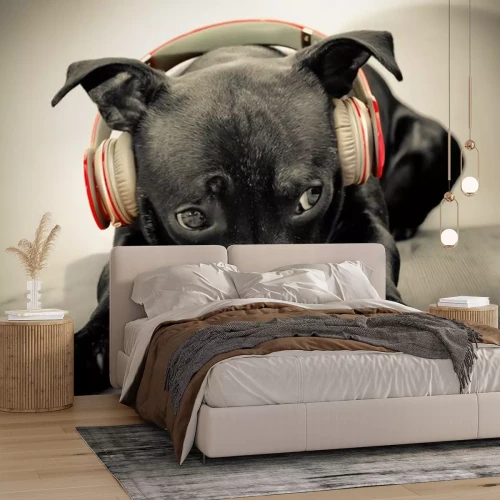 Sticker Haustiere schwarzer Hund in roten Kopfhörern