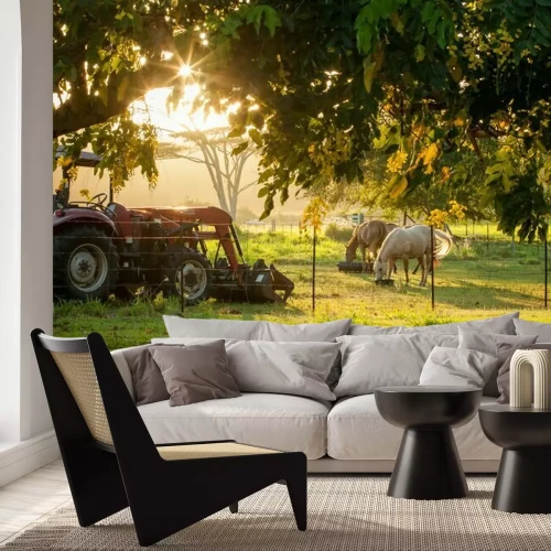 Fototapete Traktor bei Pferden