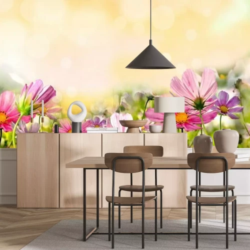 Fototapete Blumen auf Feld und Sonnenschein