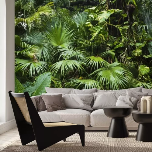 Fototapete Schöne Palmblätter des Baumes im Sonnenlicht