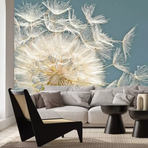Fototapete Detaillierte Pusteblumensamen