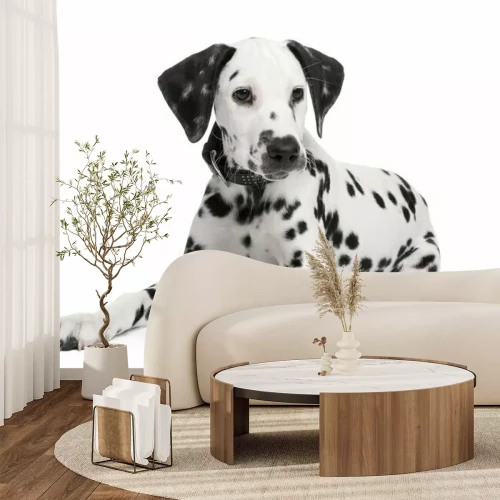 Sticker Tiere für Kinder Dalmatiner mit schwarzen Ohren