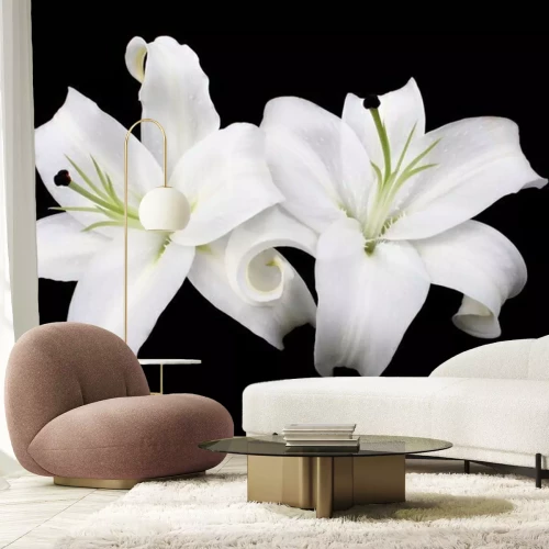 Sticker Weiße Lilienblüten auf schwarzem Hintergrund