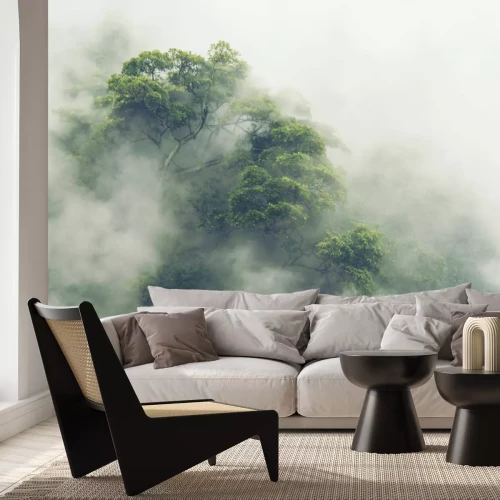 Fototapete Tropischer Wald in Japan, Jahrgang Filter Bild