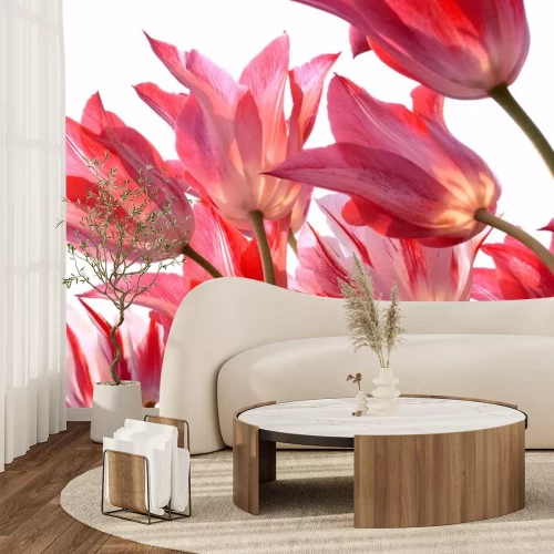 Sticker Blumen von unten gesehen