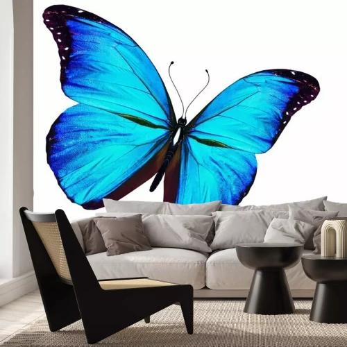 Fototapete Exotischer Schmetterling auf hellem Hintergrund