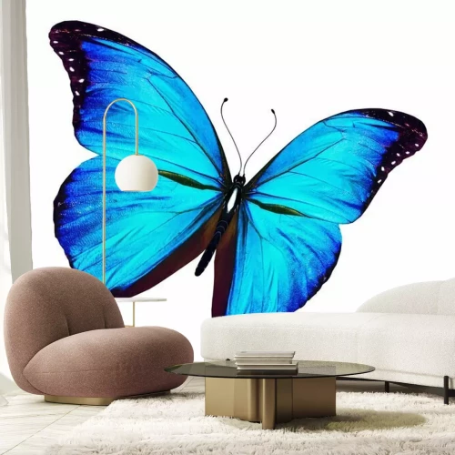 Sticker Exotischer Schmetterling auf hellem Hintergrund