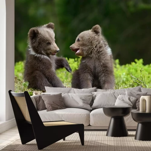 Fototapete Zwei süße Bärchen