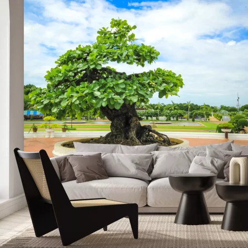 Fototapete Bonsai im Garten