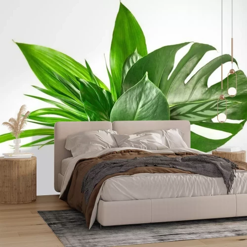 Sticker verschiedene tropische Blätter