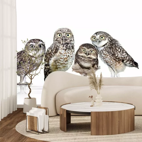 Sticker Waldtiere vier neugierige Eulen