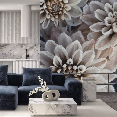 Sticker Weiße Chrysanthemen an einem frostigen Morgen