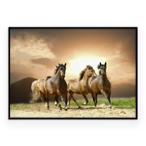 Poster Eine Pferdeherde bei Sonnenuntergang