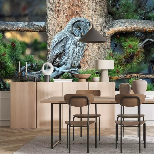 Sticker auf einem Baum schlafende Eule